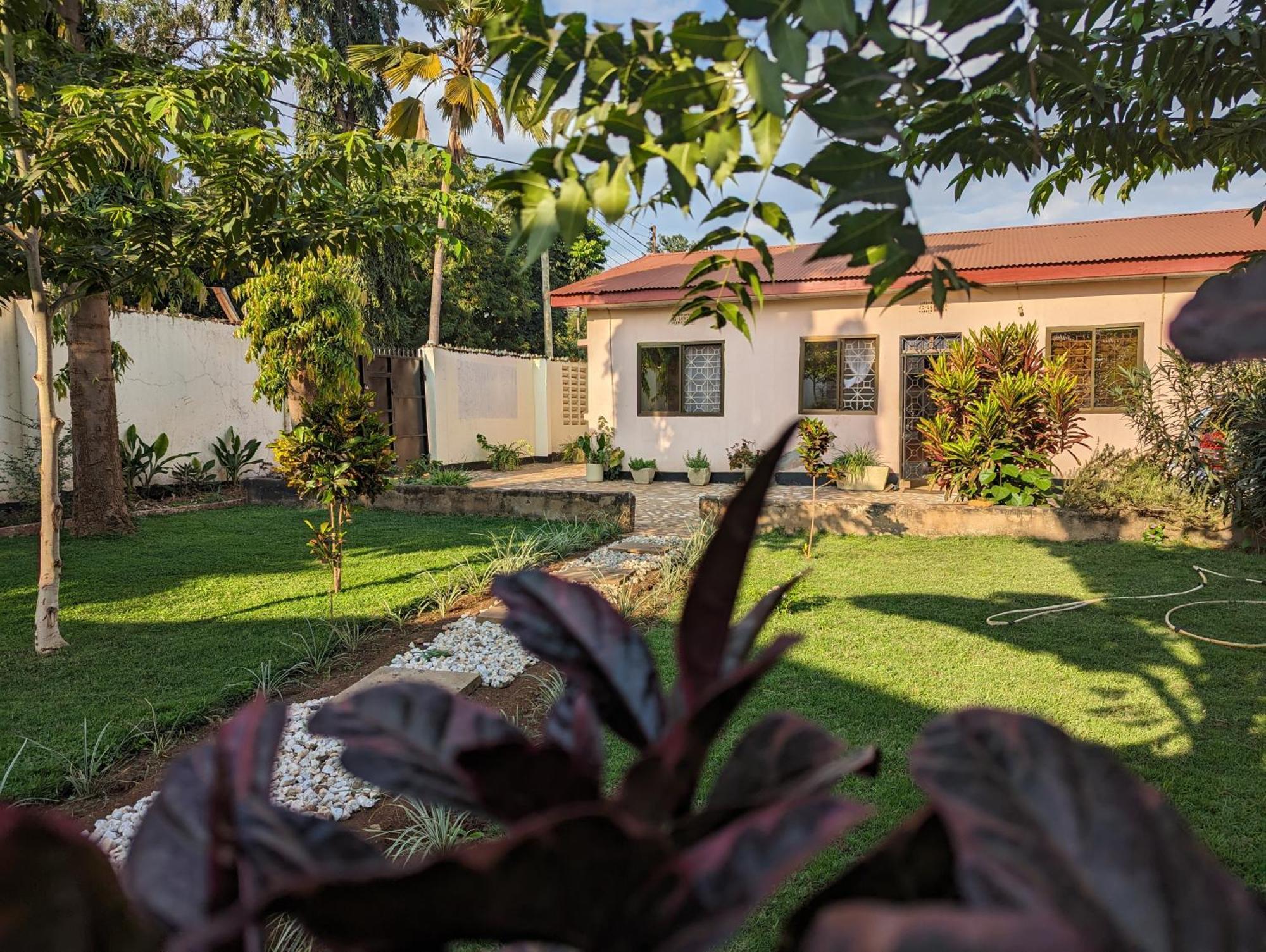 The Lion King Homestay Moshi Exteriér fotografie